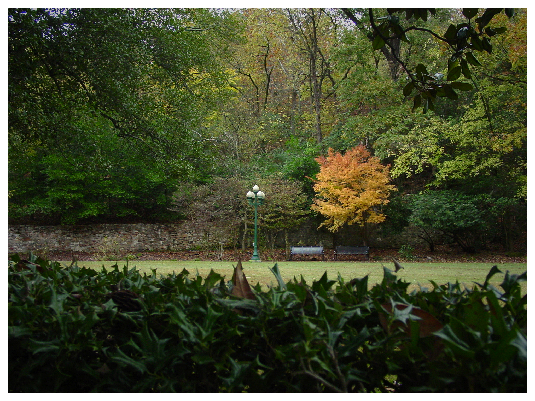 Benches and trees in Hot Springs National Park during fall